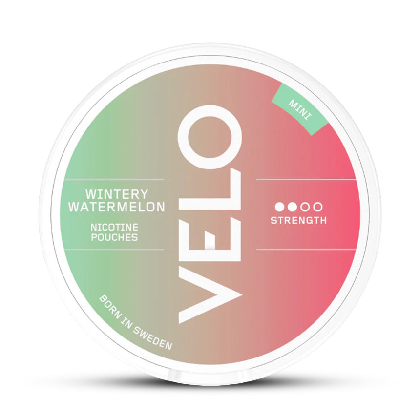 VELO Wintery Watermelon Mini